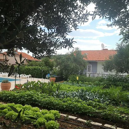 Luxury Beachfront With Pool For Two Families Okrug Gornji
